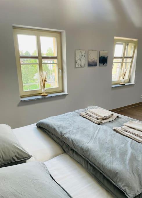 Traumvilla Im Herzen Hainichens Екстер'єр фото